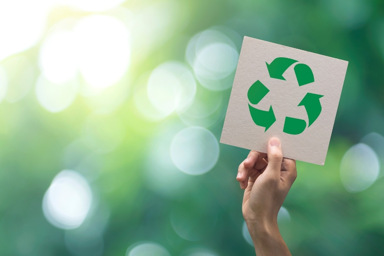 Environmental Considerations